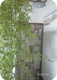 壁紙とパズル