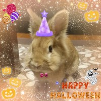 Happy  Halloween の巻 2018/10/31 19:56:07