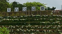 失われていた画像？？ 2016/05/08 21:00:00