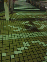 帰り道 2015/06/09 21:04:25