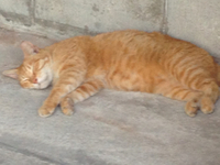 iPhone 2014/06/25 13:00:13