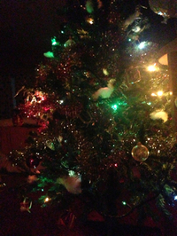 クリスマスツリー 2014/12/11 20:53:13