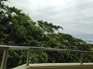 台風９号