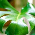 am11:00 ☆ ＯＰＥＮ 2013/09/25 11:00:10