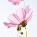 ☆定休日のお知らせ☆
