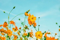 日曜日☆ 2013/10/20 10:58:03