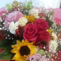 10月もラスト 2日・・・ 2013/10/29 11:51:27