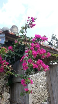Happy☆Holiday 2013/09/14 10:45:00