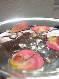 週末のお天気が気になりますね・・・ 2013/09/27 11:49:12
