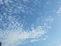 宜野湾のお空・・・♪ 2013/11/20 19:15:00