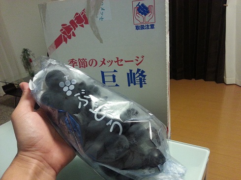 Class　坂田ぶどう園
