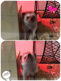 視線。。。