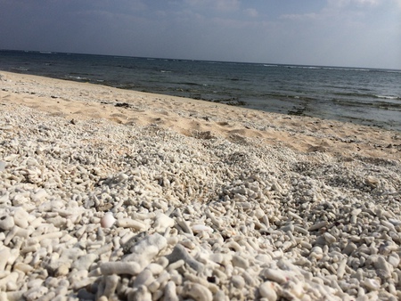 久高島珊瑚の砂浜