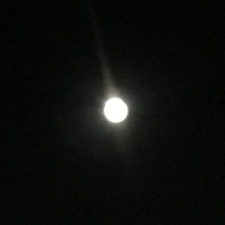 16夜◯月夜☆ヒーリング◯