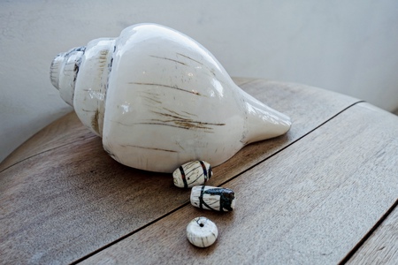 cocoloba 自然素材アクセサリー :シャンクガイ ♪ Chank Shell