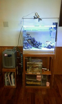 8月22日の記事 2013/08/22 10:23:56