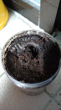 グラントシロ 2013/09/12 01:12:35
