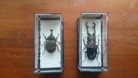 標本完成 2014/05/12 16:14:12