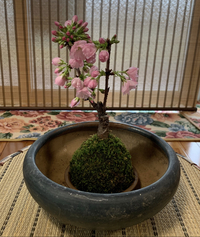 もうすこしだけ… 2021/04/30 22:09:00