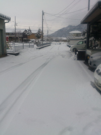 あけましておめでとうございます。 2015/01/05 16:02:48