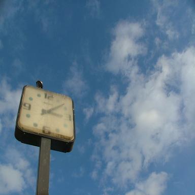 tick