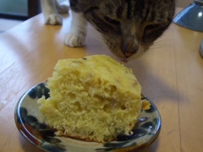 炊飯器ｄｅケーキ