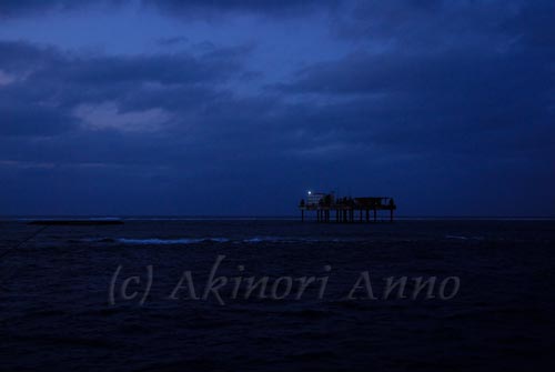 沖ノ鳥島:美ら海写真館u003dPhoto 検索 Libraryu003d
