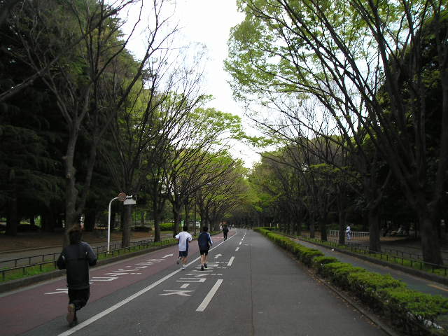 駒沢公園