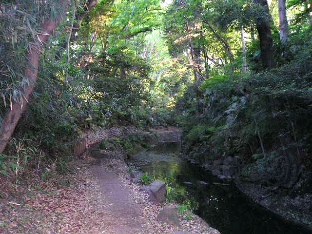 等々力渓谷