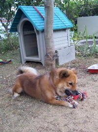 リッチ♪♪ 2010/10/01 19:39:42