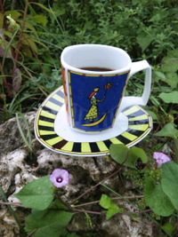 モーニングコーヒーと今朝のお花さんたち♪♪ 2010/10/08 10:08:25