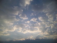 今朝の空模様とお庭の風景☆ 2010/11/03 11:41:32