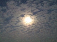 今夜のお月様☆ 2010/11/20 20:29:27