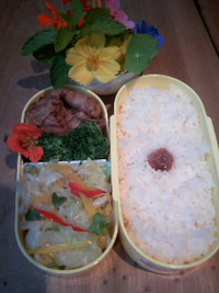 今日のお弁当