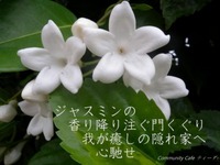 ジャスミンの香りに誘われて