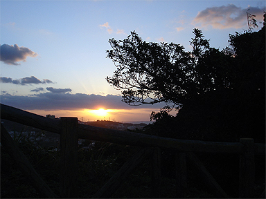 一月の風景