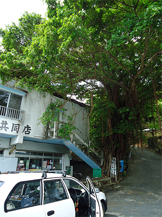 暑い～