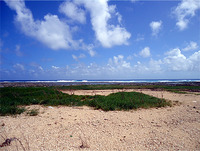 まだまだ、暑い・・・ 2011/08/30 08:28:26