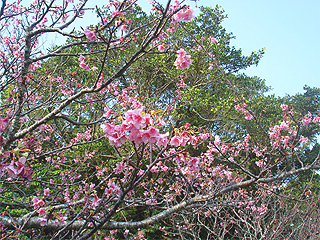 続き