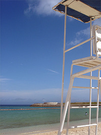 夏 2010/05/20 13:42:47