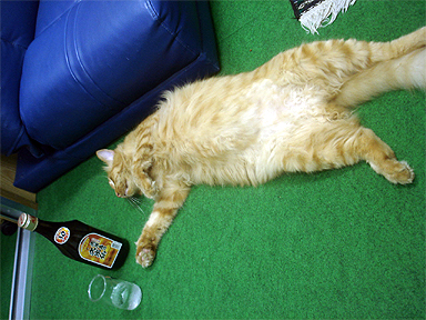 飲みすぎ