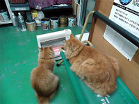 寒いです 2012/01/06 08:05:06