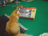 寒くなりました　その弐 2010/12/10 09:21:24