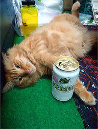 遅ればせながら 2011/08/10 09:05:13