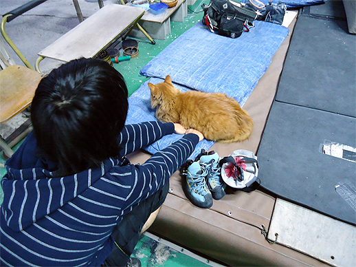 寒くなりました