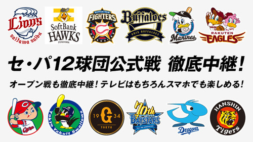 プロ野球 名シーン集 My Hobbies