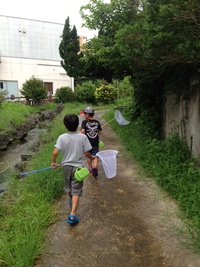 宿題