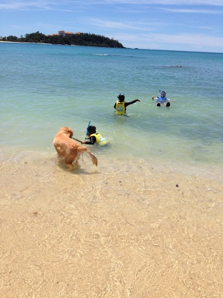 夏休み！