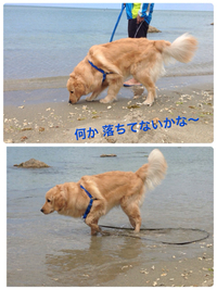 初めての海 2014/03/25 18:34:31