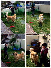 ボール遊び 2014/03/21 15:19:18